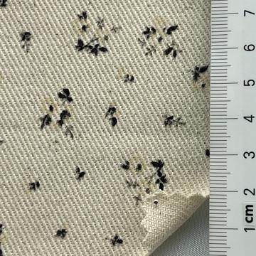 Cotton Twill