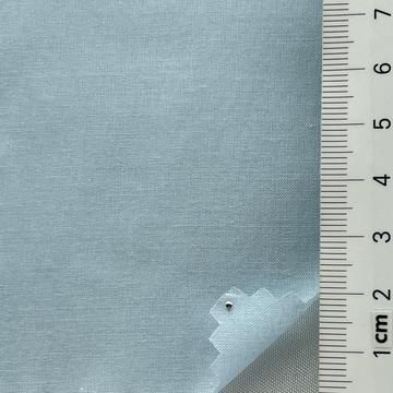 18 Pale Blue