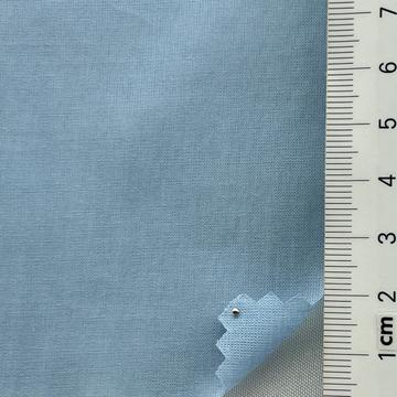19 Pale Blue