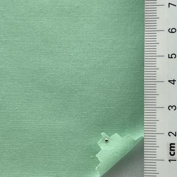 24 Pale Green