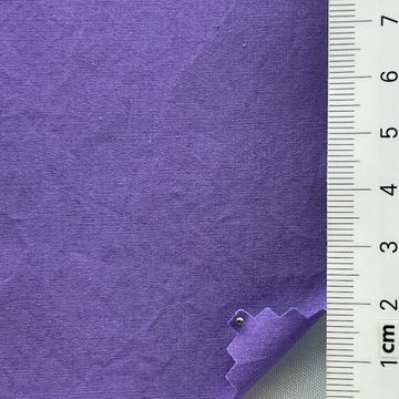 6 Purple