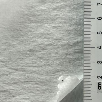 8 White
