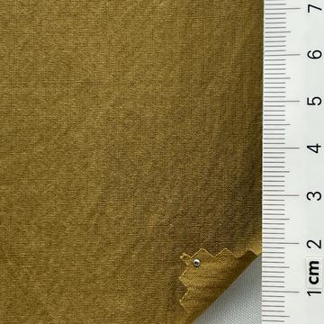 21 Camel
