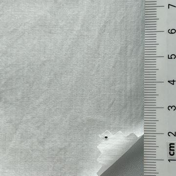 12 White
