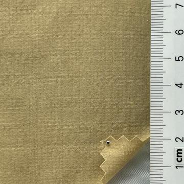 17 Camel