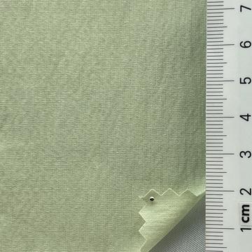18 Pale Green