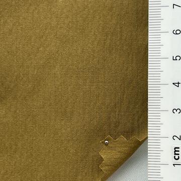 19 Camel