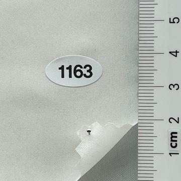 1163 Ivory