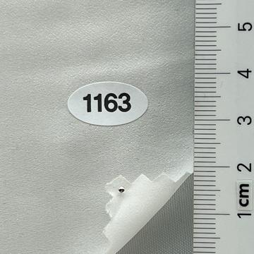 1163 Ivory