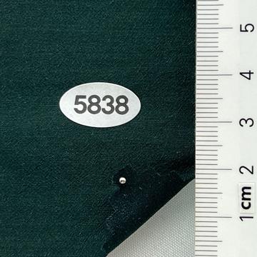 5838 Deep Green