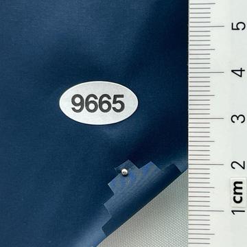 9665 Blue