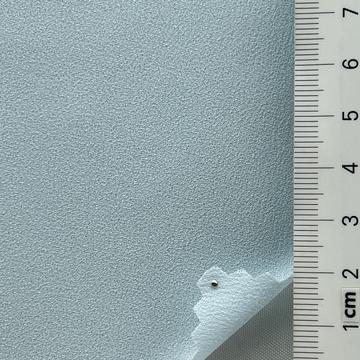 21 Pale Blue