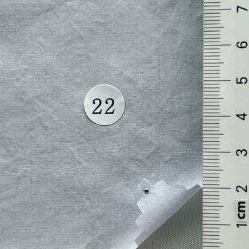 22 Pale Blue