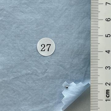 27 Pale Blue