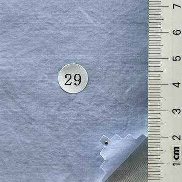 29 Pale Blue