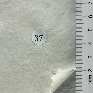37 Ivory