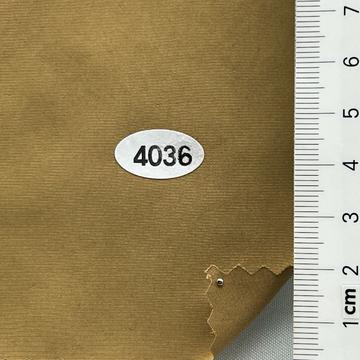 4036 Camel