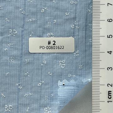 2 Pale Blue