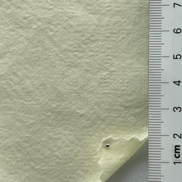 15 Ivory