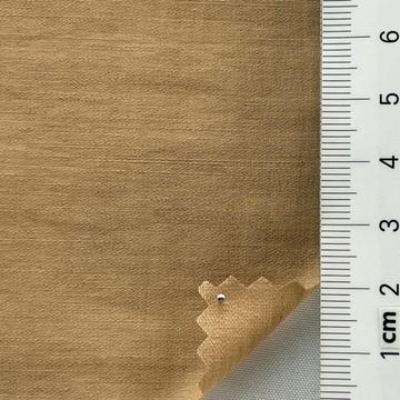 6 Camel