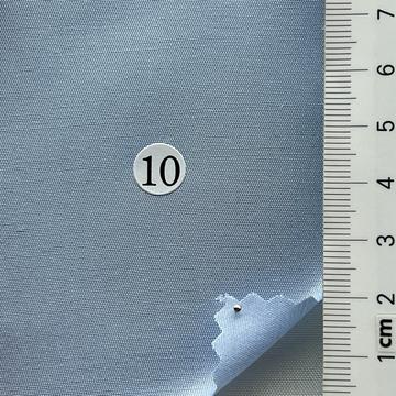 10 Pale Blue