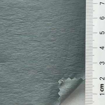 19 Gray