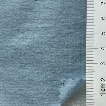 21 Pale Blue