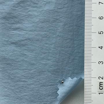 21 Pale Blue