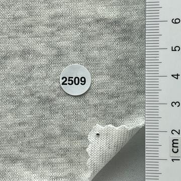 2509 Ivory