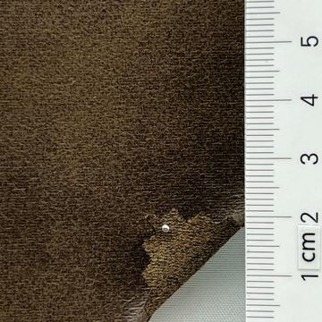 5 Camel