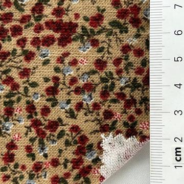 Cotton-blend Brushed (front) Plain Weave
