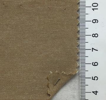 10 Camel