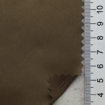 41 Camel