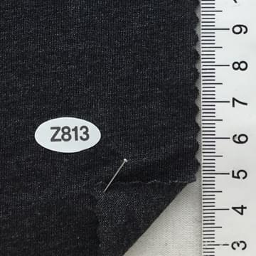Z813 Gray