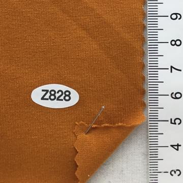 Z828 Brick