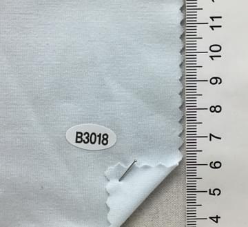 B3018 Pale Blue