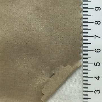 17 Beige