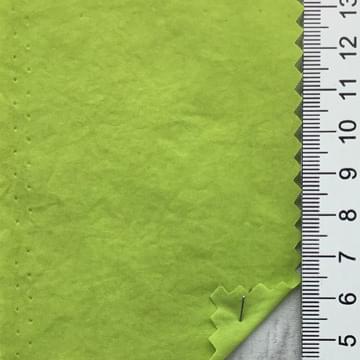 19 Pale Green