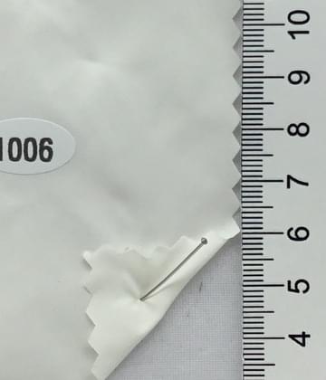 1006 Ivory