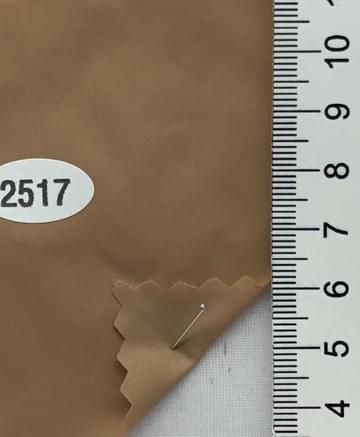 2517 Camel