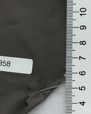 4858 Brown