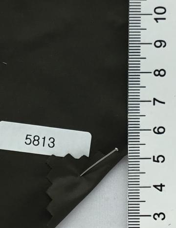 5813 Deep Green
