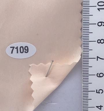 7109 Pale Orange