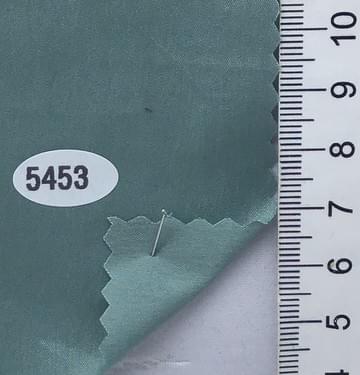 5453 Pale Green