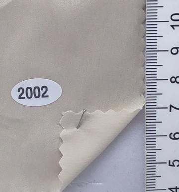 2002 Beige