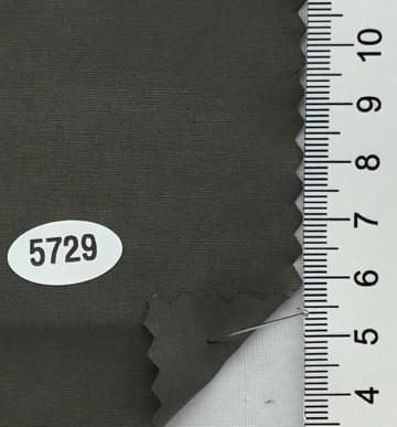 5729 Deep Green
