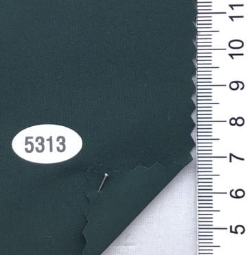 5313 Turquoise