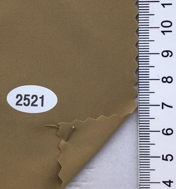 2521 Camel
