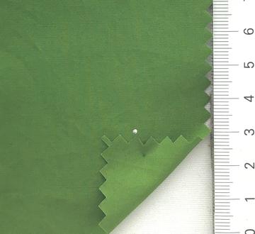 39 Pale Green