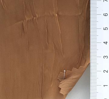 19 Camel
